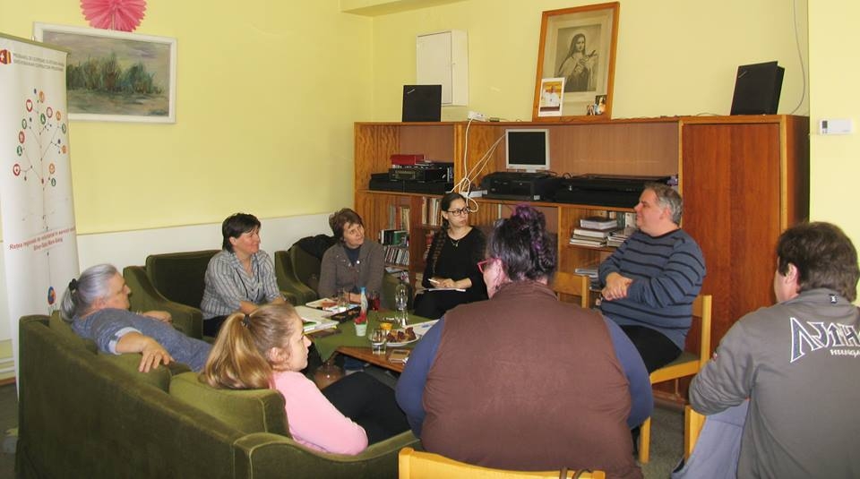 ONG-uri s-au întrunit în Carei in cadrul proiectului VOLO